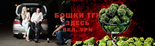 ALPHA PVP Покров