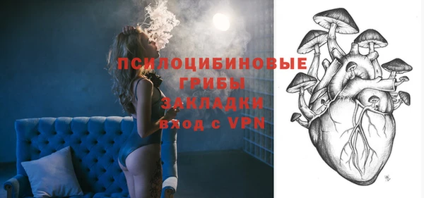 сатива Заволжье