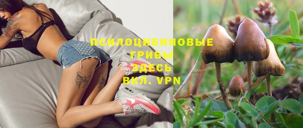 ALPHA PVP Покровск