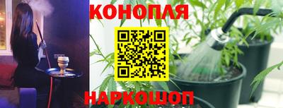 индика Ипатово