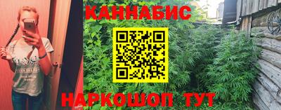 индика Ипатово