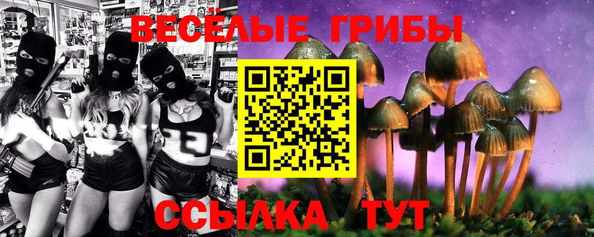 Свободный  Псилоцибиновые грибы Psilocybine cubensis  Галлюциногенные грибы Magic Shrooms  Вход с VPN 